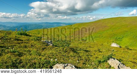 View From Runa Mountain. Grassy Hills And Slopes In Evening Light. Summer Landscape Of Carpathian Mo