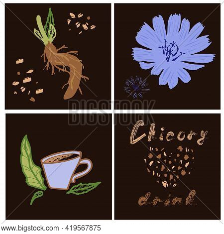 Print Design Set Of Square Cards With Chicory Flower, Granules, Root, Lettering And Drink Cup