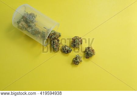 Marijuana Micro-dosing Concept. Cannabis Buds In Plastic Cup On Yellow Background. Cbd Therapy, Medi