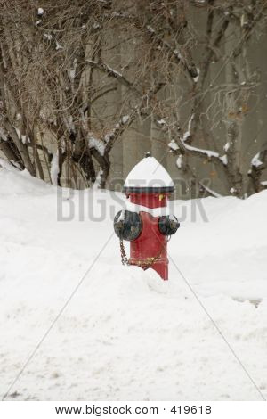 雪の消火栓