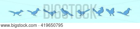 Set Of Roadrunner Cartoon Icon Design Template With Various Models. Modern Vector Illustration Isola