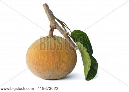 Ripe Santol Or Sentul Fruit (sandoricum Koetjape) With Leaf Isolated On White Background Included Cl