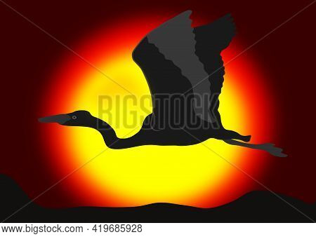 Heron Slowly Hovers Above The Surface At Sunset Vector Illustration