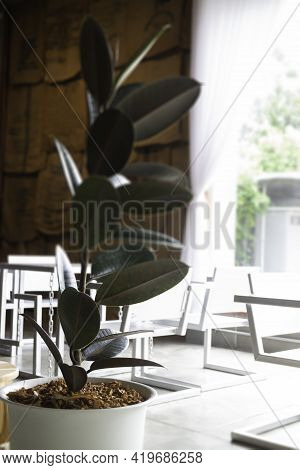 Modern And Industrial Style Loft Room, Stock Photo