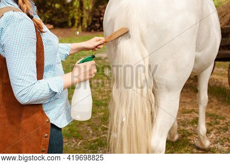 A Young Beautiful Woman Combs The Mane And Tail Of A Horse With A Wooden Comb. Spray For Hair Care. 