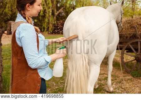 A Young Beautiful Woman Combs The Mane And Tail Of A Horse With A Wooden Comb. Spray For Hair Care. 
