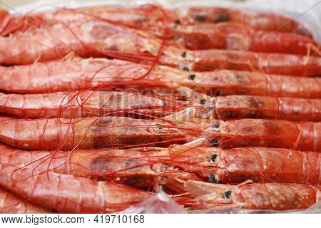 Close Up Fresh Of Raw Red Langoustines , Nephrops Norvegicus, Norway Lobster, Dublin Bay Prawn Or Sc