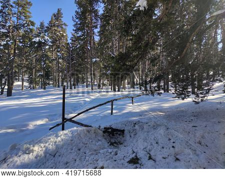 Winter View Of Byala Cherkva Region At Rhodopes Mountain, Plovdiv Region, Bulgaria