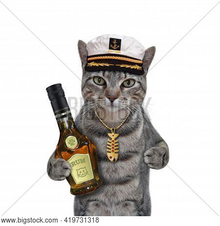 Gray Cat Captain Image \u0026 Photo (Free 