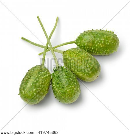 Group of fresh raw whole wild cucumbers close up isolated on white background