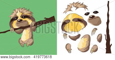 Cute Joyful Sloth Hanging On A Branch. Cartoon Character. Classic Handmate Vector Illustration. Isol