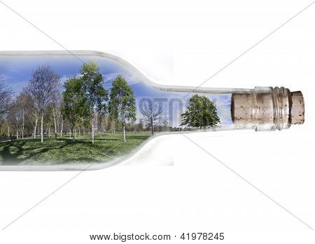 Landschap in de fles