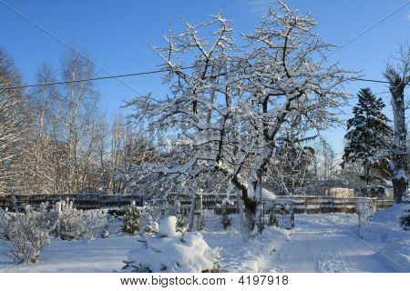 Zima v Cieszyno (Polsko)