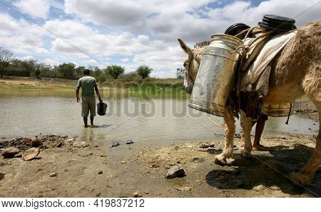 Vitoria Da Conquist, Bahia, Brazil - October 28, 2011: Young People And Their Donkeys Are Seen Colle