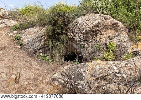 Nature Near The Excavations Of The Ancient Burial Caves Of The Sidonian Near The Maresha City In Bei