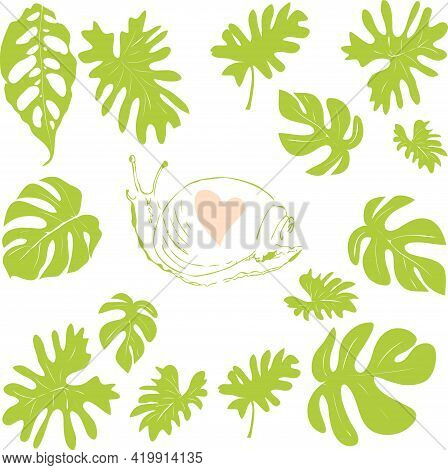 Hand-drawn Illustration Of Cute Snail And Exotic Tropical Leaves
