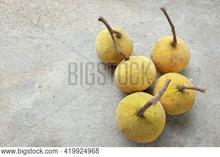 Copy Space Fresh Ripe Santol Or Sentul Fruit (sandoricum Koetjape) Isolated On On Cement Floor Backg