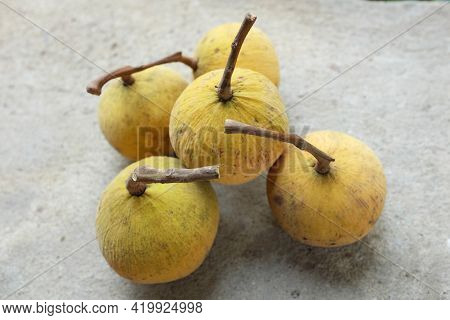 Top View Fresh Ripe Santol Or Sentul Fruit (sandoricum Koetjape) Isolated On On Cement Floor Backgro