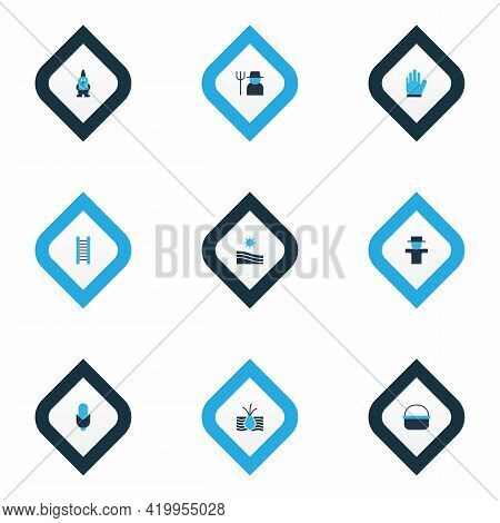 Farm Icons Colored Set With Plant Root, Ladder, Corn And Other Bugaboo Elements. Isolated Illustrati