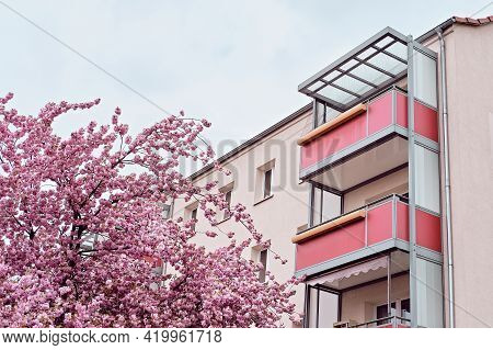 Cherry Blossoms In Front Of Modern House With Balconies, Euronean Appartment Block Of Flats In Berli