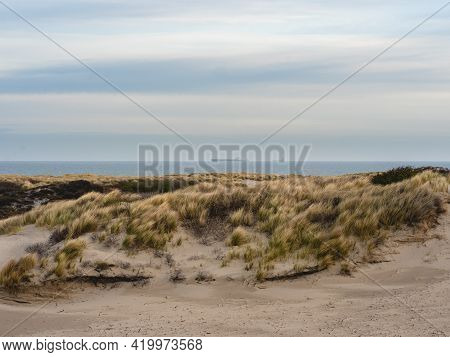 Early And Cloudy Morning In The Dunes Of Kijkduin The Netherlands.