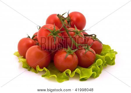 Cherry-Tomaten, die isoliert auf weiÃŸem Hintergrund