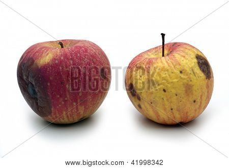 wormy appels