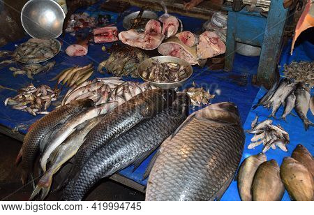 Siliguri - India 
March 2021 

Varieties Of Fish Displayed For Sale Inside The Fish Market In Bengal