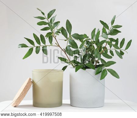 Eucaliptus Leaves In A Concrete Flower Pot And Scented Soy Candle. Home Fragrances, Perfumed Candle 