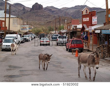 Old West Town