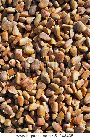 Pine Nuts