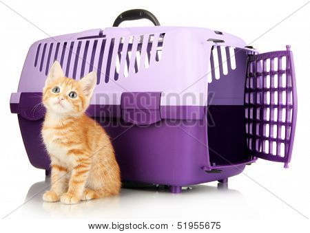 Cute little red kitten with travel plastic cage isolated on white