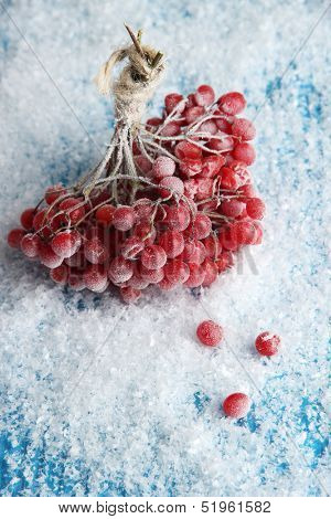 Red berries of viburnum with ice crystals, on blue background