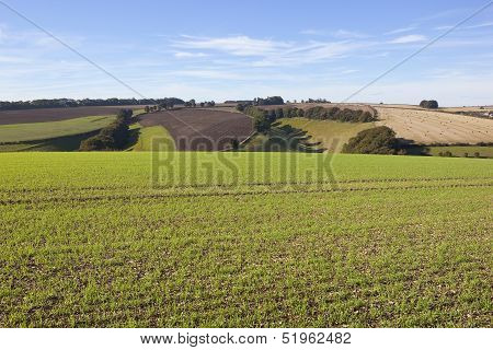 Scenic Farmland