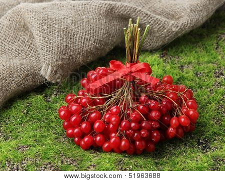 Red berries of viburnum on green grass background