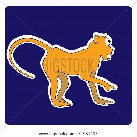 Monkey