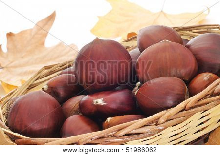 a pile of chestnuts on a basket and autumn leaves in the background