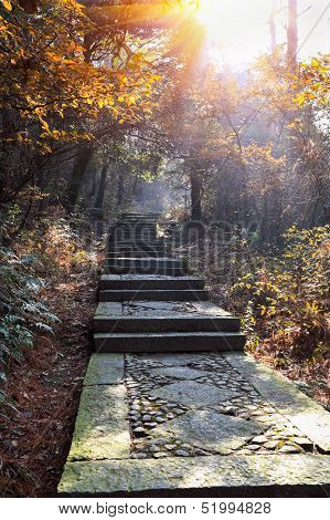 Stone Step Road In Autumn