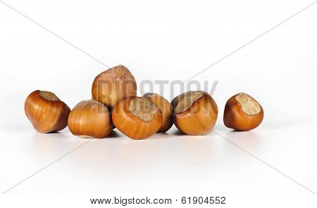 hazelnuts