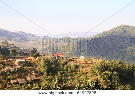 Local village farmer in Doi Mae Salong