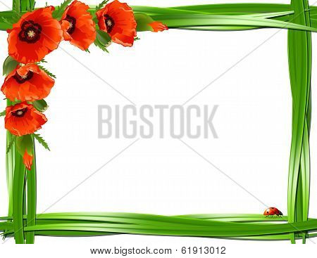 Floral frame