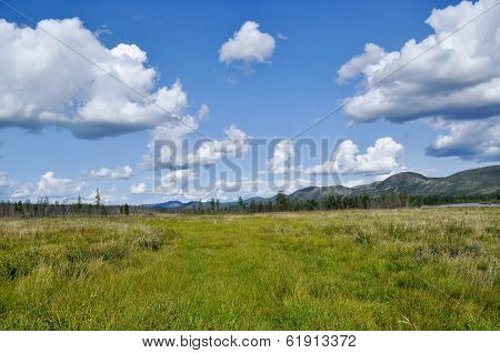 Swampy Plain Under The Blue Sky.