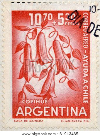 ARGENTINA - CIRCA 1960: Stamps printed in Argentina shows Lapageria Chilean bellflower or copihue