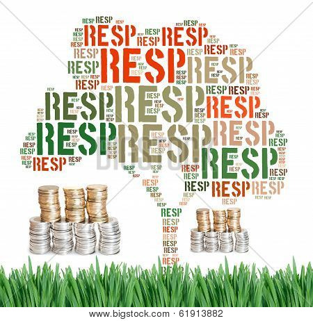 Canadian Registered Education Savings Plans Concept Word Cloud