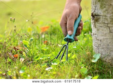 using a gardening tool in the garden