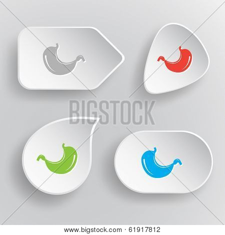 Stomach. White flat vector buttons on gray background.