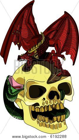 Skul met een gekleurde dragon