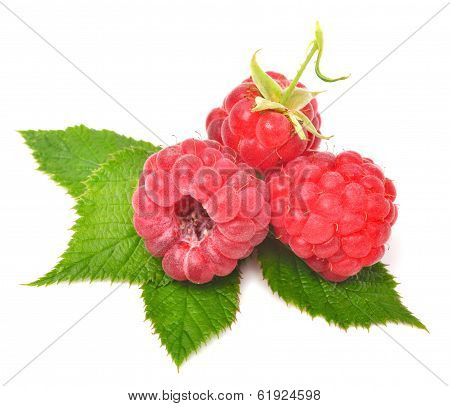 Raspberry With Leaves