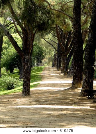 park