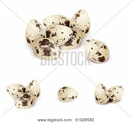 Quail Egg Set